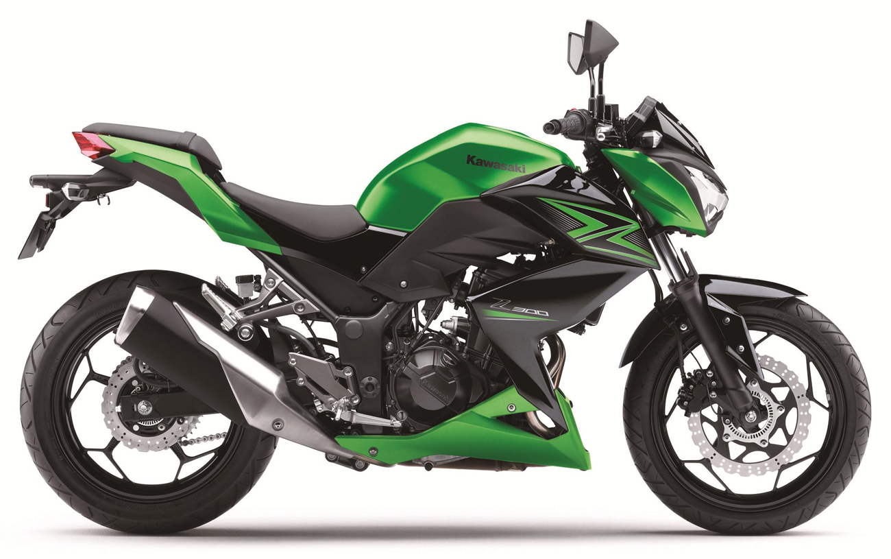 Kawasaki Z 300 technical specifications